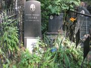 Левин Анатолий Григорьевич, Москва, Востряковское кладбище