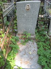 Старожилец Софья Израилевна, Москва, Востряковское кладбище