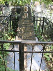 Зельцер Борис Лазаревич, Москва, Востряковское кладбище