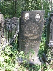 Негримовский Моисей Исаакович, Москва, Востряковское кладбище