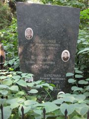 Цукерман Михаил Григорьевич, Москва, Востряковское кладбище