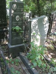 Самбурский Давид Львович, Москва, Востряковское кладбище
