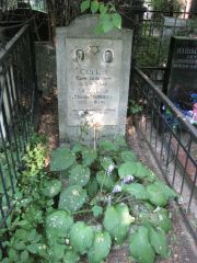 Сорин Ефим Семенович, Москва, Востряковское кладбище