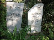 Драбкин Ида Моисеевна, Москва, Востряковское кладбище