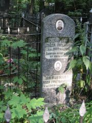 Наушулер Евсей Петрович, Москва, Востряковское кладбище