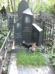 Хенкин Ефим Самойлович, Москва, Востряковское кладбище