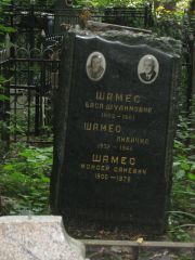 Шамес Бася Шулимовна, Москва, Востряковское кладбище