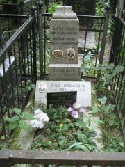 Айзикович Иосиф Абармович, Москва, Востряковское кладбище
