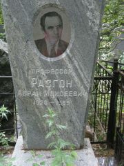 Разгон Аврам Моисеевич, Москва, Востряковское кладбище