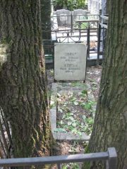 Желтая Рохля Давидовна, Москва, Востряковское кладбище