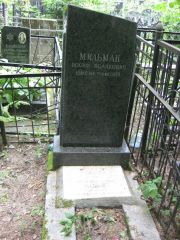 Мильман Мария Львовна, Москва, Востряковское кладбище