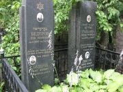 Гольдина Любовь Израилевна, Москва, Востряковское кладбище