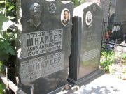 Шнайдер Лейб Абрамович, Москва, Востряковское кладбище