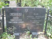 Каплан Анна Израилевна, Москва, Востряковское кладбище