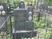 Гольдберг Макс Соломонович, Москва, Востряковское кладбище