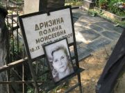 Дрозина Полина Моисеевна, Москва, Востряковское кладбище