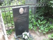 Серебрянный Виктор Арнольдович, Москва, Востряковское кладбище