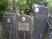 Друбецкая Этя Самуиловна, Москва, Востряковское кладбище