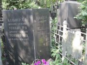Кальнер Л. А., Москва, Востряковское кладбище