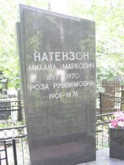 Натензон Михаил Маркович, Москва, Востряковское кладбище