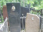 Мерзляк Абрам Наумович, Москва, Востряковское кладбище