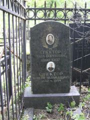 Спектор Хава Боруховна, Москва, Востряковское кладбище