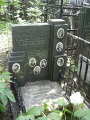 Шнейдерман Абрашенька , Москва, Востряковское кладбище