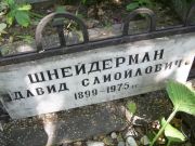 Шнейдерман Борис Самойлович, Москва, Востряковское кладбище