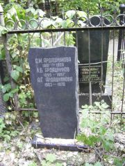 Гольцблат Геля-Раиса Ицковна, Москва, Востряковское кладбище
