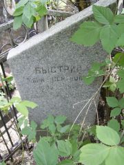 Быстрин Марк Семенович, Москва, Востряковское кладбище