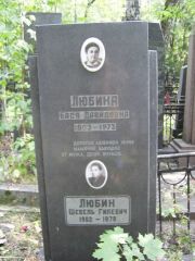 Любина Бася Давидовна, Москва, Востряковское кладбище
