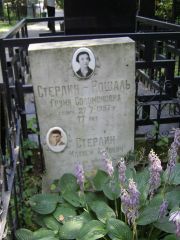 Стерлин-Рошаль Груня Соломонновна, Москва, Востряковское кладбище