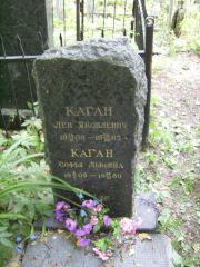 Каган Лев Яковлевич, Москва, Востряковское кладбище