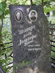 Шапиро Янек , Москва, Востряковское кладбище