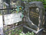 Стекель Аббо Самуилович, Москва, Востряковское кладбище