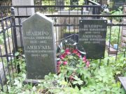 Шапиро Ефим Израйлевич, Москва, Востряковское кладбище