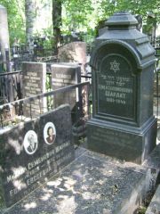 Шарлат Михаил Семенович, Москва, Востряковское кладбище