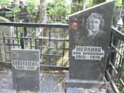 Меркина Лия Ароновна, Москва, Востряковское кладбище
