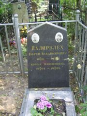 Палирблех Ефрем Владимирович, Москва, Востряковское кладбище