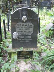 Лифшиц Самуил Маркович, Москва, Востряковское кладбище