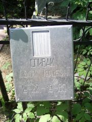 Спивак Алексей Гершевич, Москва, Востряковское кладбище