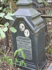 Гольдина Ася Соломоновна, Москва, Востряковское кладбище