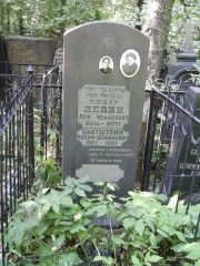 Левин Лев Исаакович, Москва, Востряковское кладбище