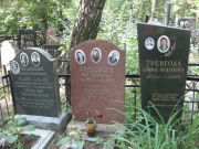 Стронгина Бася Иудовна, Москва, Востряковское кладбище