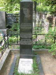 Шнеерсон Израиль Соломонович, Москва, Востряковское кладбище