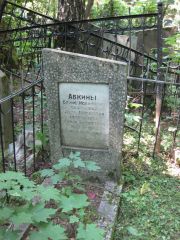 Абкина Лиза Абрамовна, Москва, Востряковское кладбище