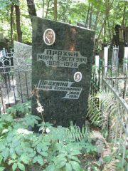 Прахина Елена Семеновна, Москва, Востряковское кладбище