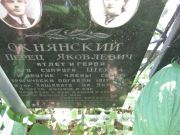 Окнянский Перец Яковлевич, Москва, Востряковское кладбище
