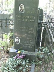 Шнеерсон Ида Самуиловна, Москва, Востряковское кладбище
