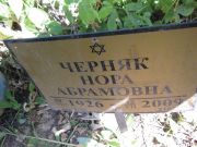 Черняк Нора Абрамовна, Москва, Востряковское кладбище